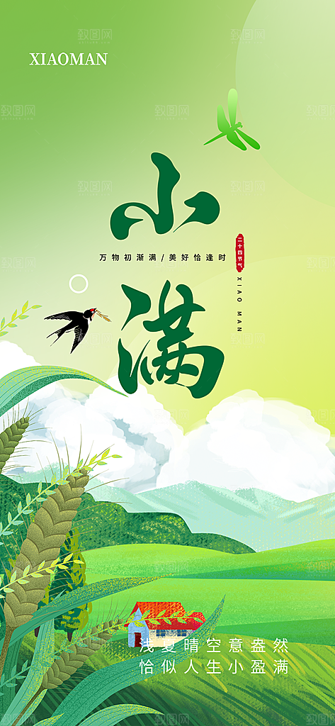 传统小满二十四节气海报