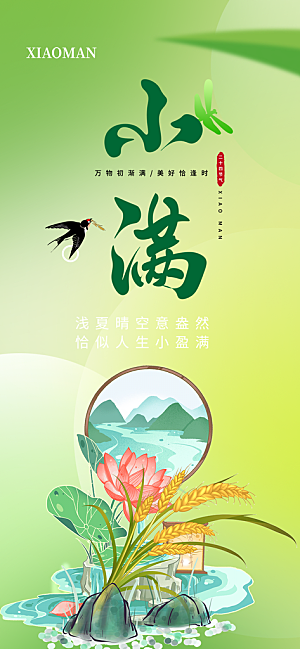 大气传统小满二十四节气海报