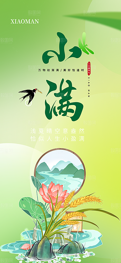 大气传统小满二十四节气海报