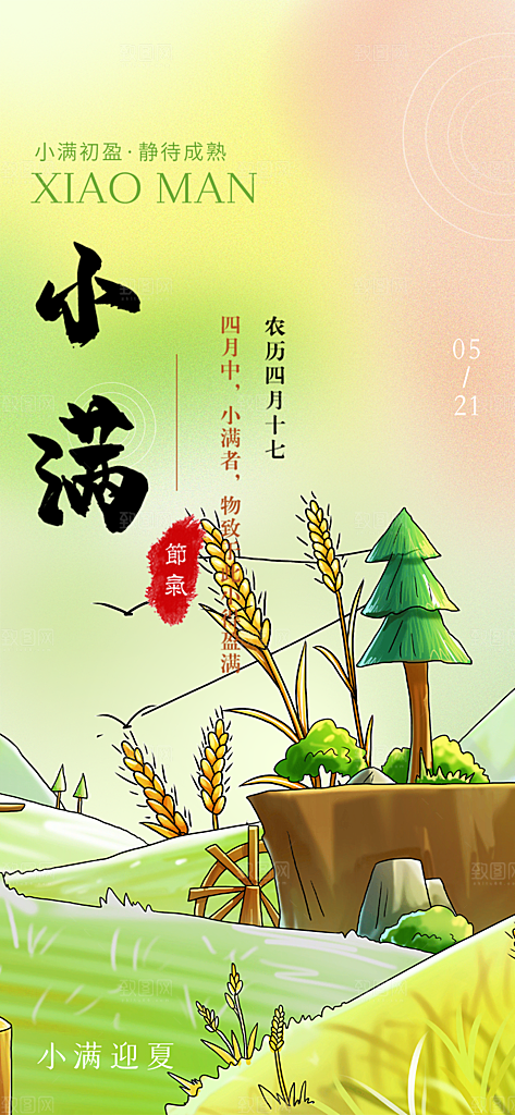 大气传统小满二十四节气海报