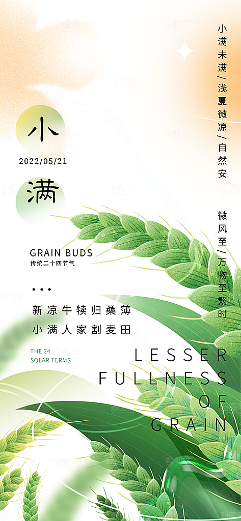 大气传统小满二十四节气海报