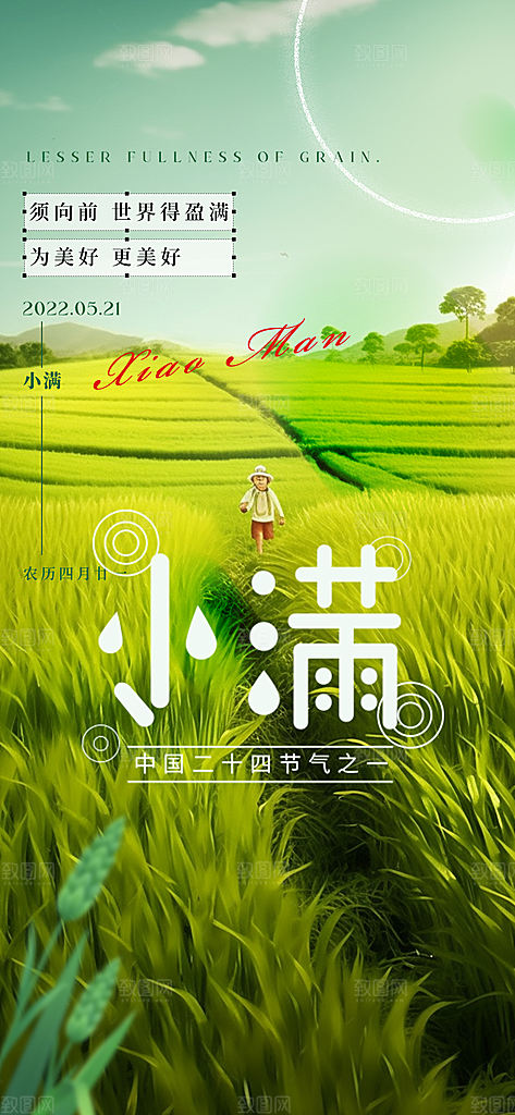 大气传统小满二十四节气海报
