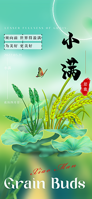 大气传统小满二十四节气海报