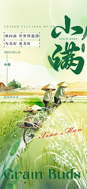 大气传统小满二十四节气海报