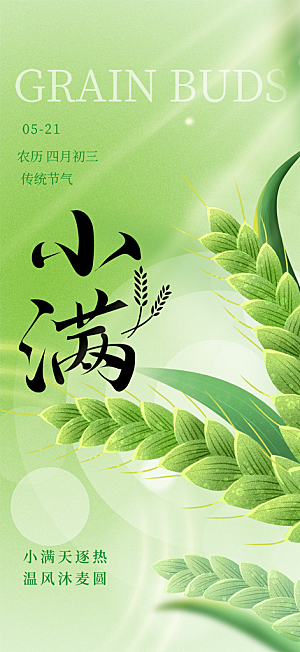 大气传统小满二十四节气海报