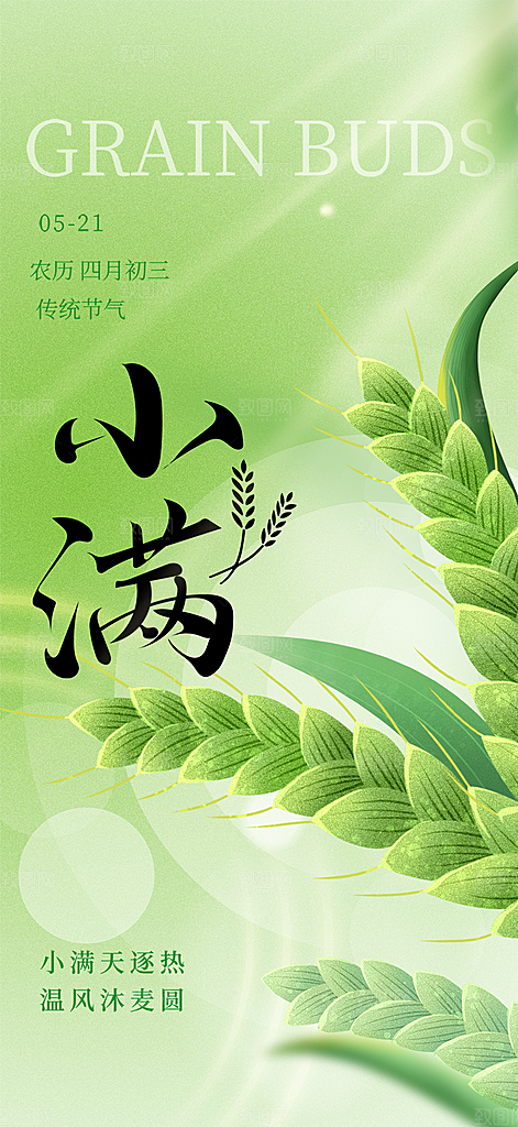 大气传统小满二十四节气海报