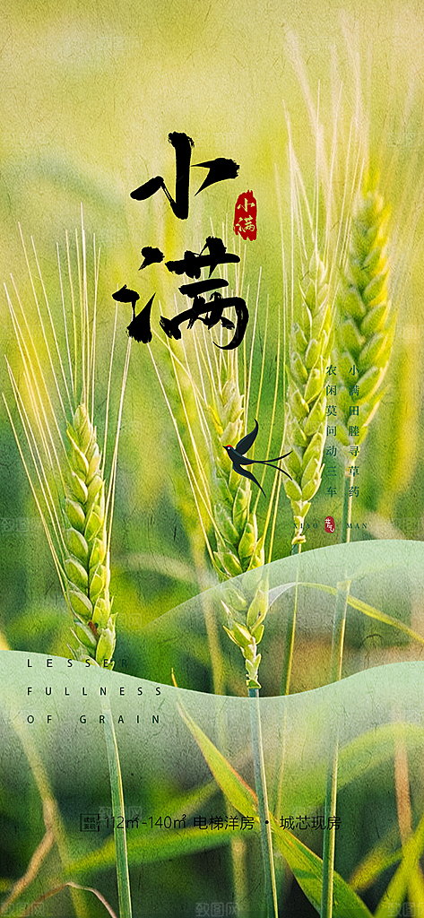 大气传统小满二十四节气海报