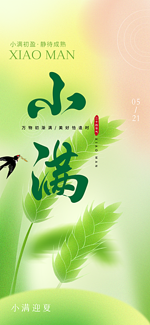 大气传统小满二十四节气海报