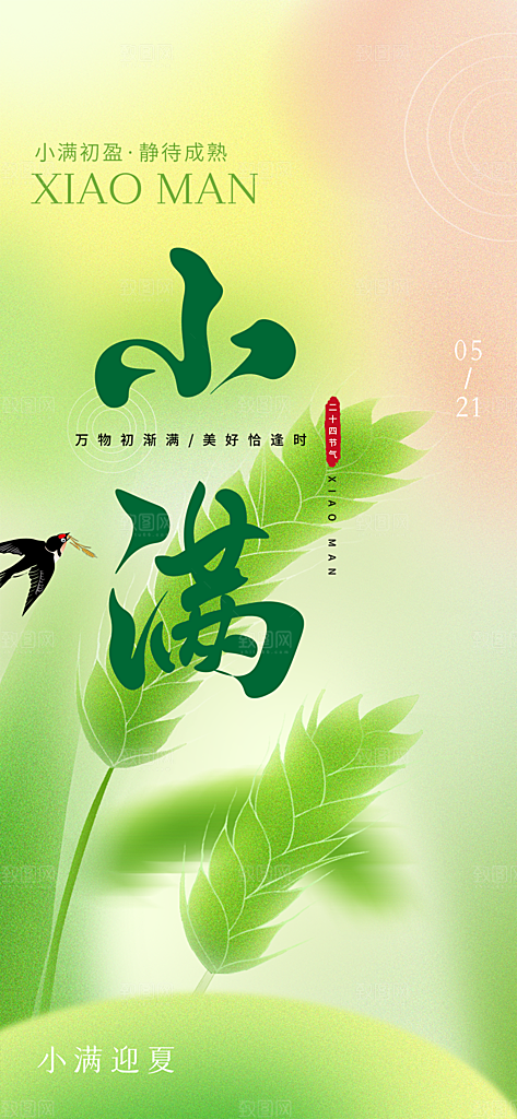 大气传统小满二十四节气海报
