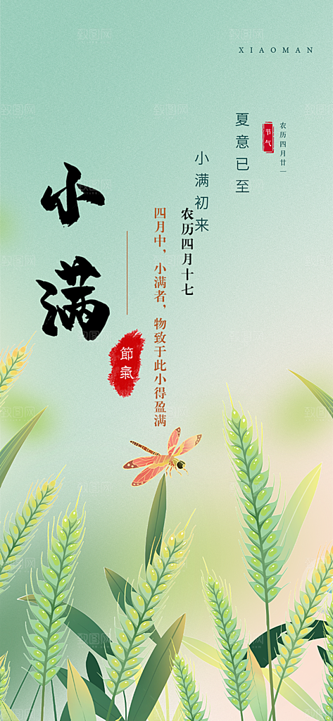 大气传统小满二十四节气海报