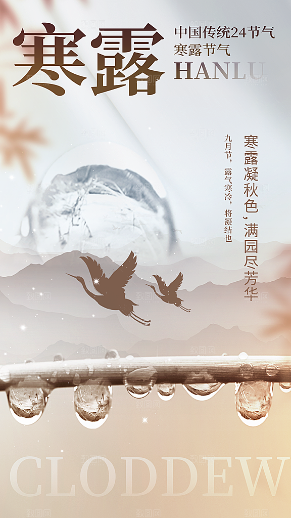 二十四节气寒露节日节庆海报模板