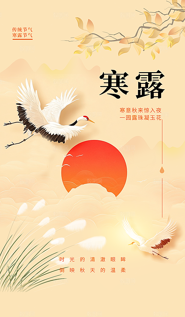 二十四节气寒露节日节庆海报模板