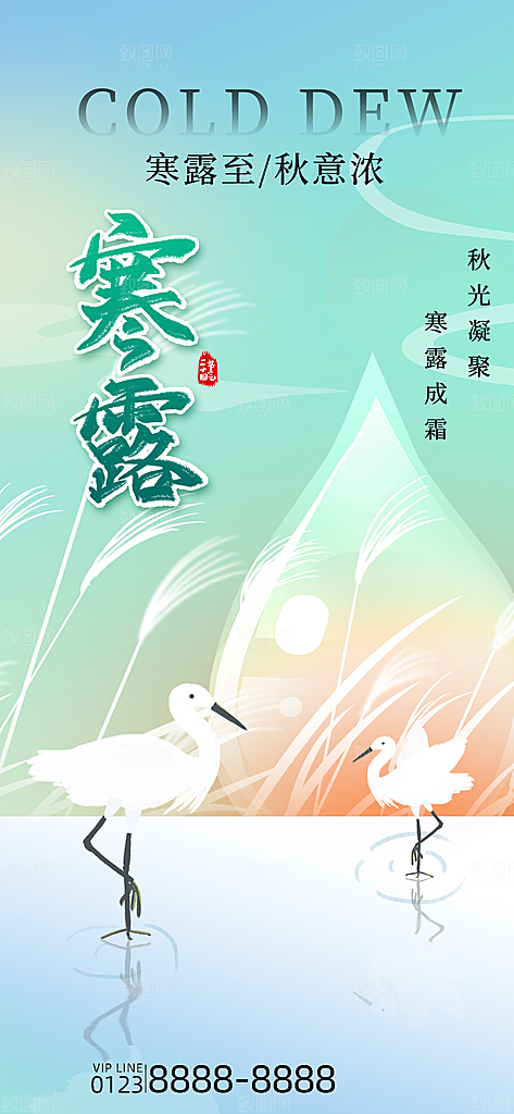 二十四节气寒露节日节庆海报模板