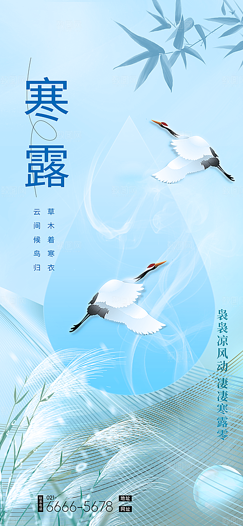 二十四节气寒露节日节庆海报模板