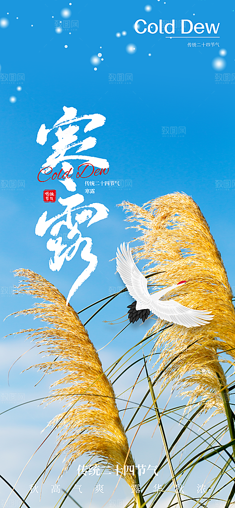 二十四节气寒露节日节庆海报模板