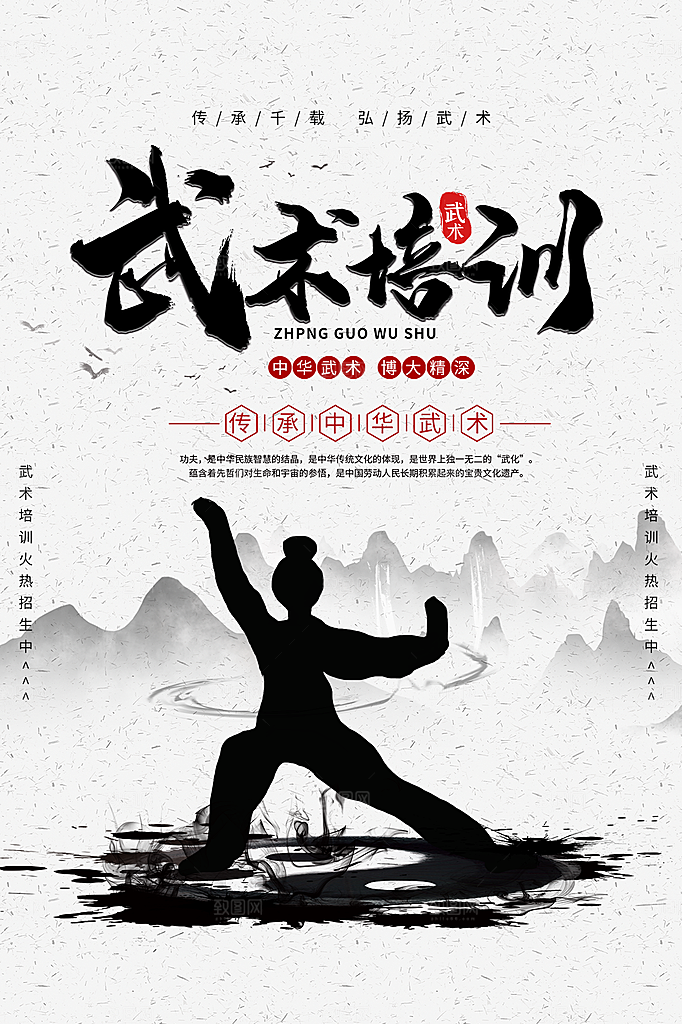 清新武术武功宣传海报