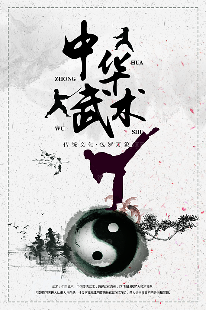 清新武术武功宣传海报