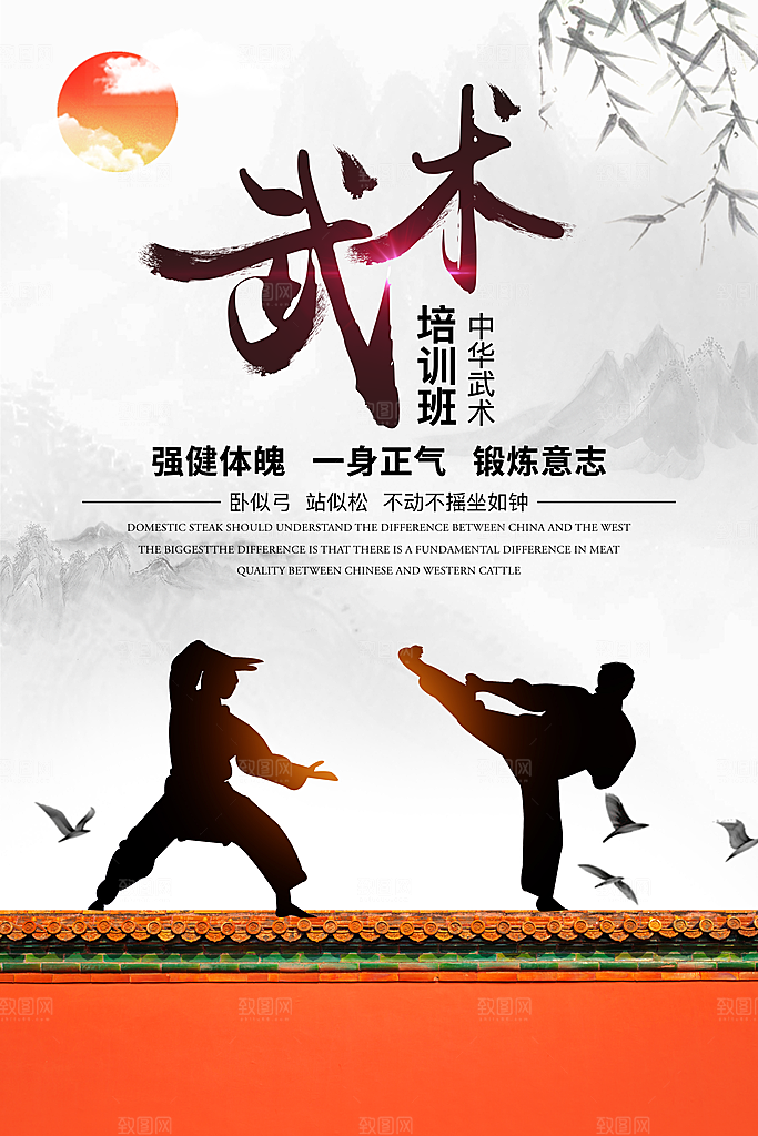 武术武功宣传海报