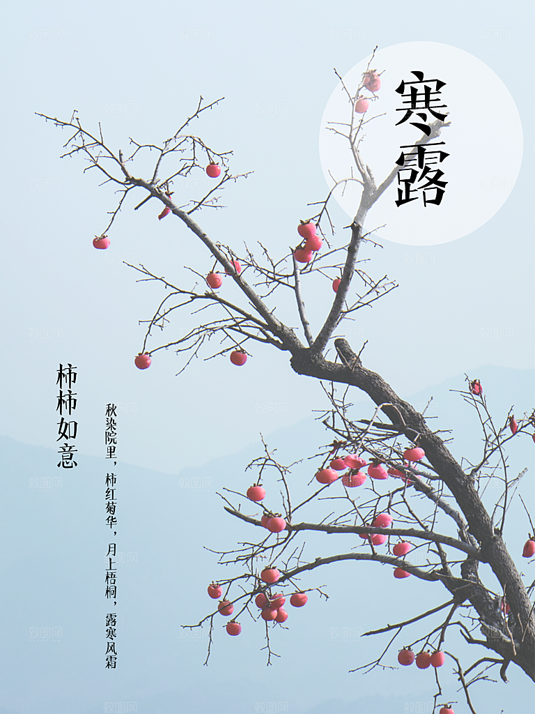 寒露节气简约大气海报
