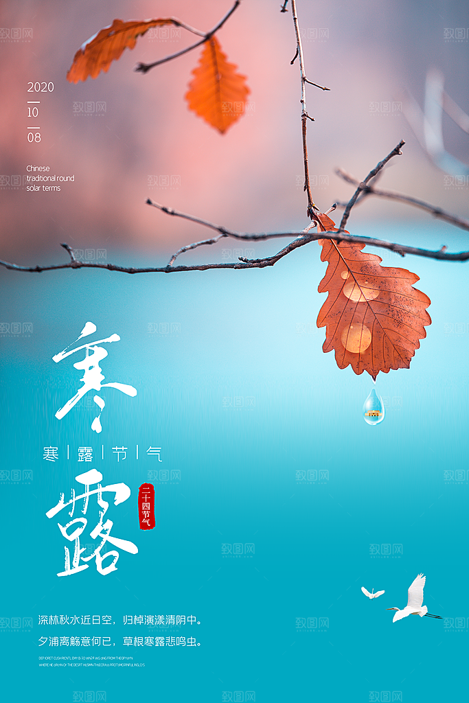 寒露节气简约大气海报