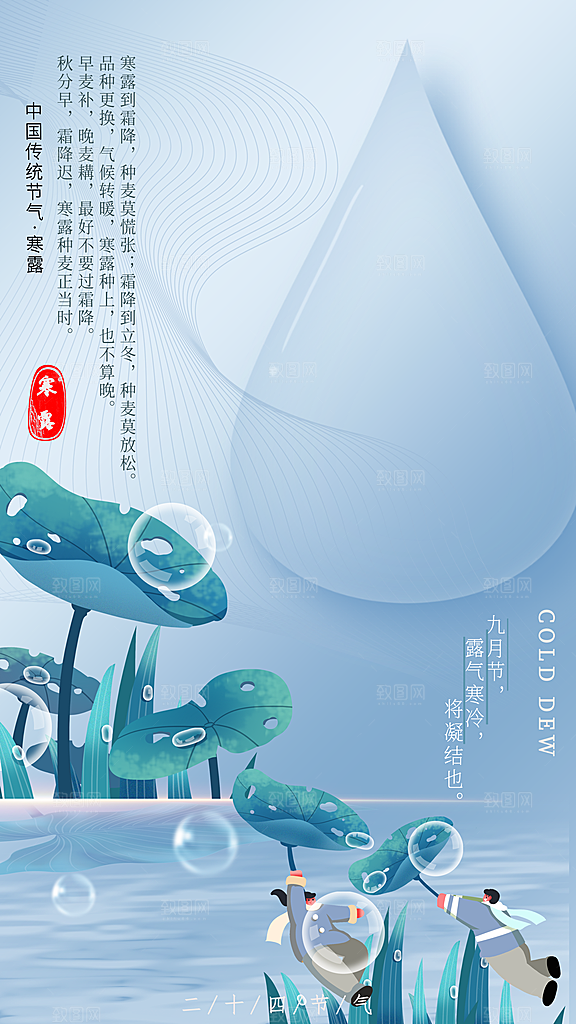 寒露节气简约大气海报