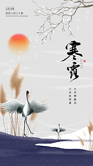 寒露节气简约大气海报
