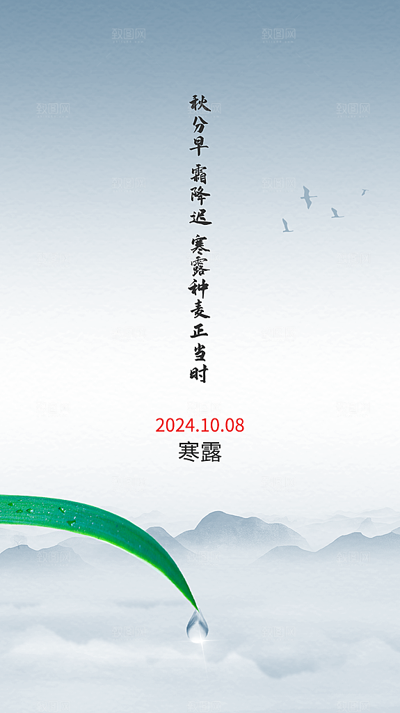 寒露节气简约大气海报