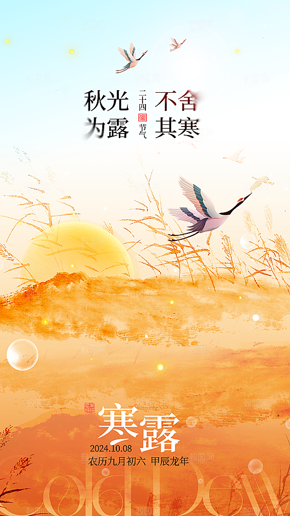 寒露节气简约大气海报