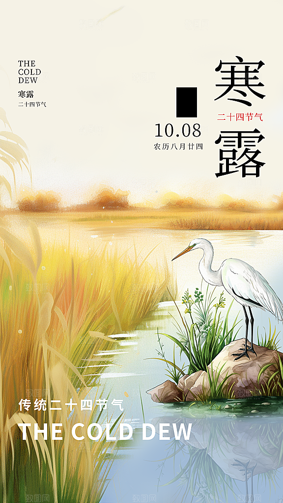 传统节气寒露海报模版