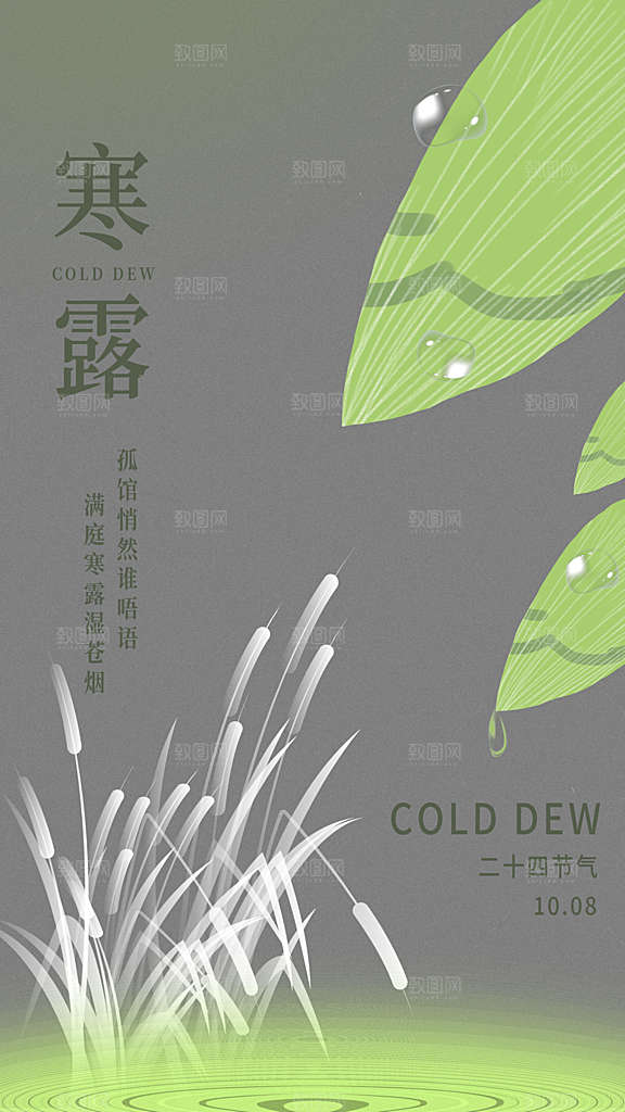 传统节气寒露海报模版