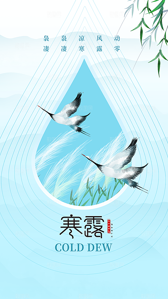 传统节气寒露海报模版