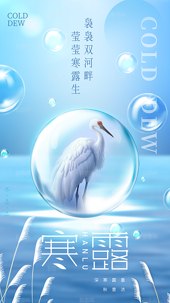 传统节气寒露海报模版