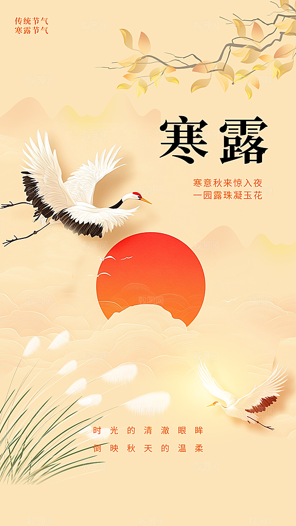 传统节气寒露海报模版