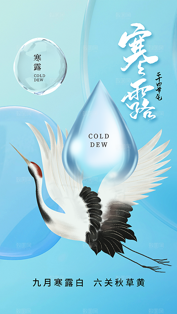 传统节气寒露海报模版