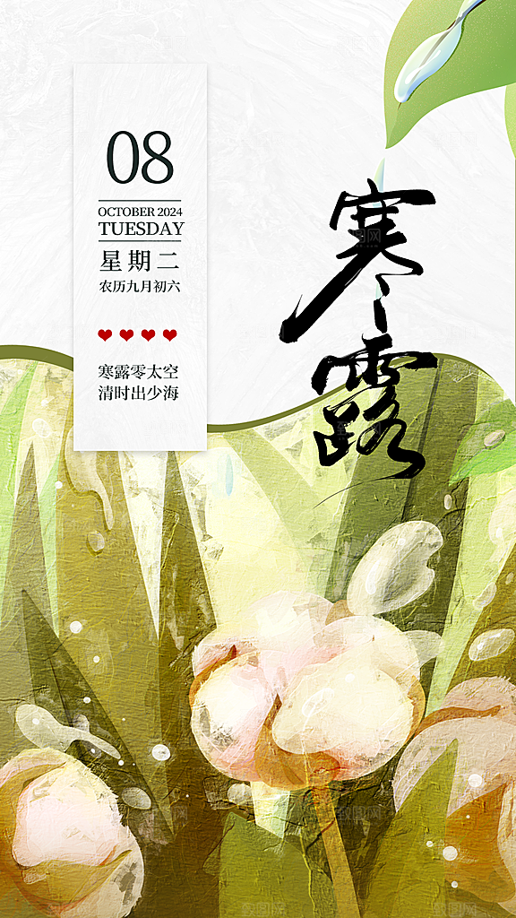 传统节气寒露海报模版