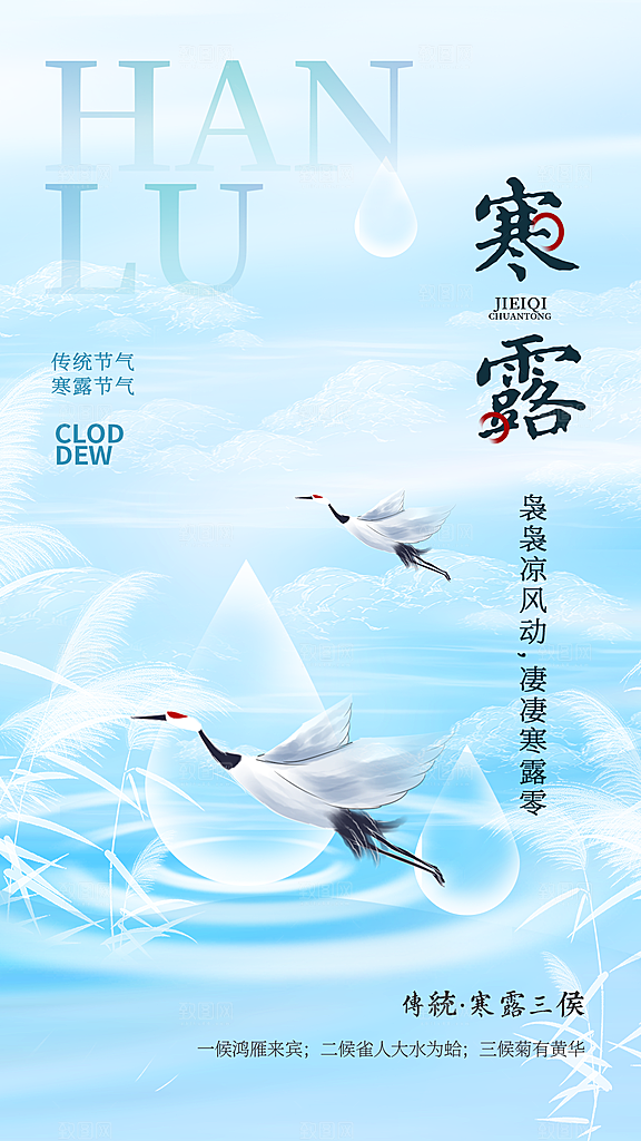 寒露节气简约大气海报