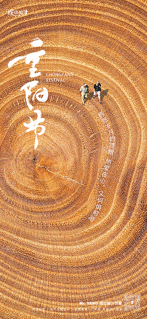传统节日重阳节敬老宣传海报