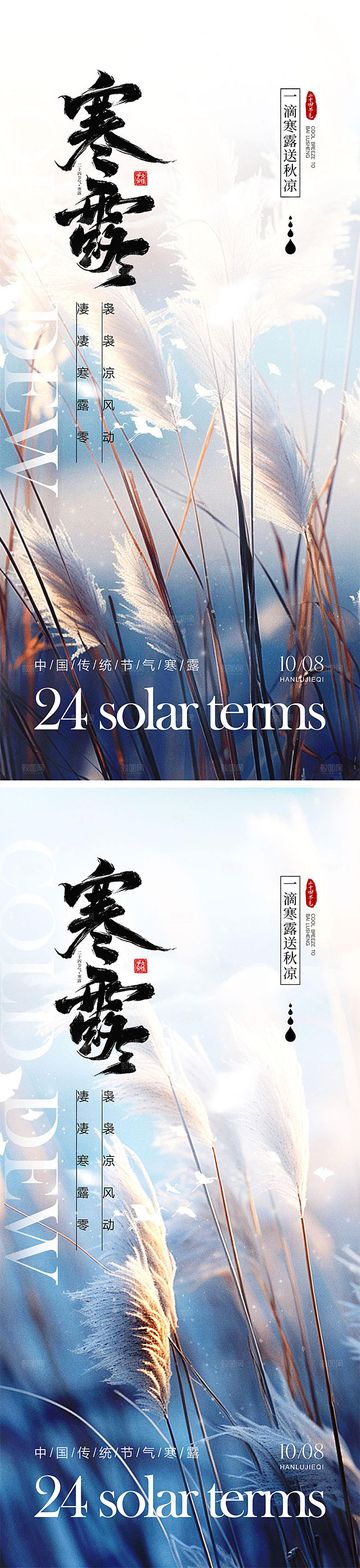 寒露节气宣传海报