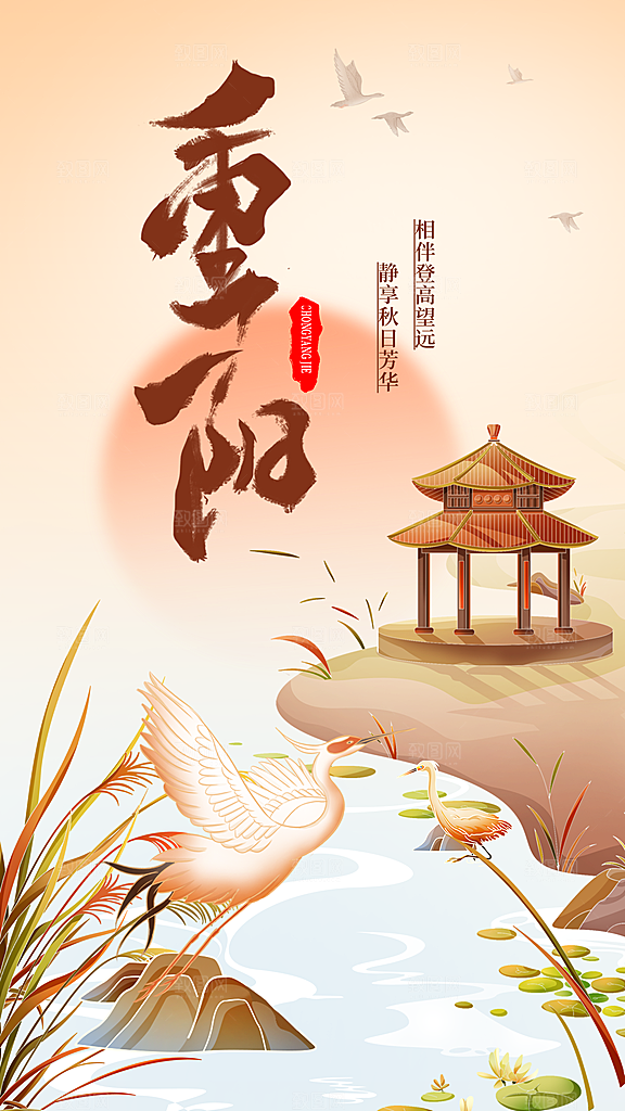传统节日重阳节敬老宣传海报