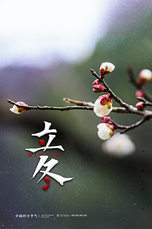 立冬节气简约大气海报