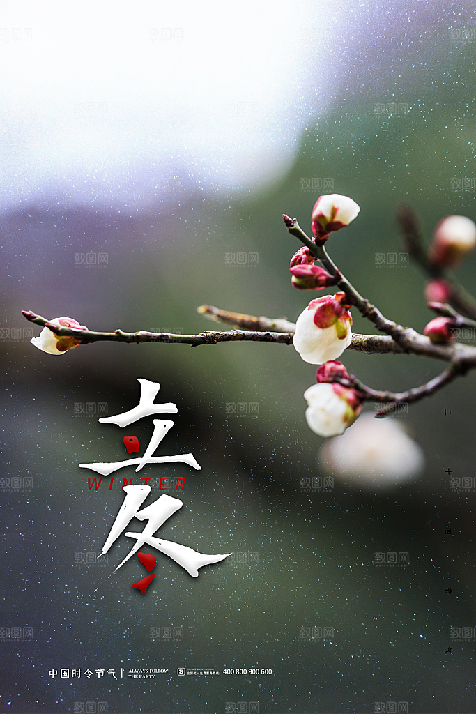 立冬节气简约大气海报