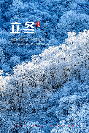 立冬节气简约大气海报