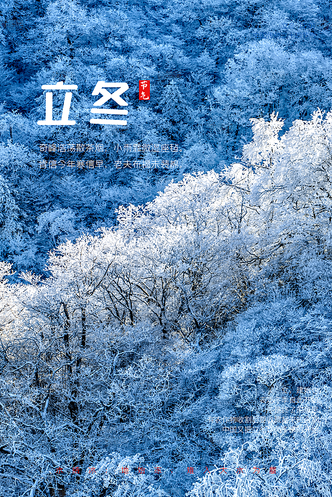 立冬节气简约大气海报