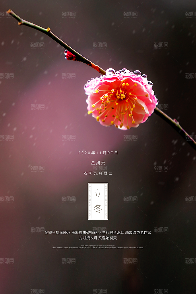 立冬节气简约大气海报
