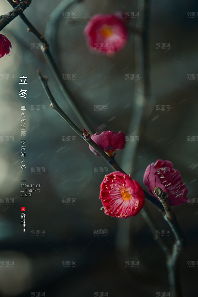 立冬节气简约大气海报