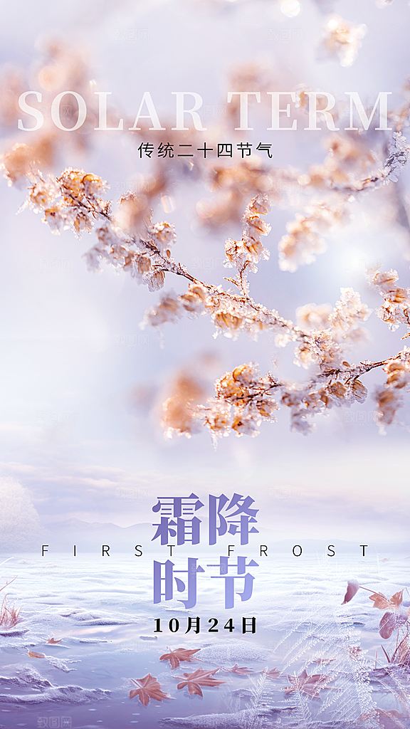 霜降节气简约大气海报