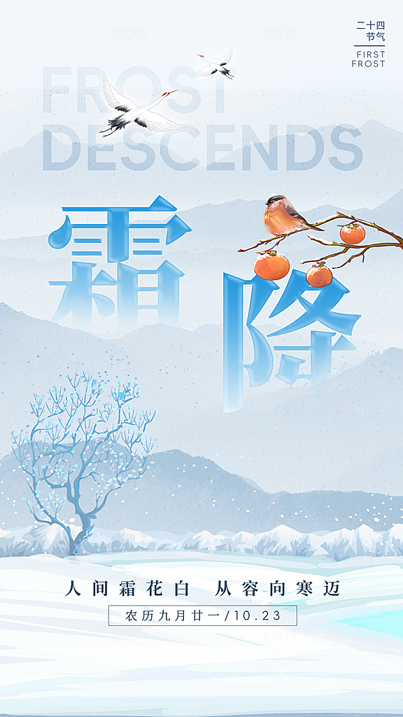 霜降节气简约大气海报