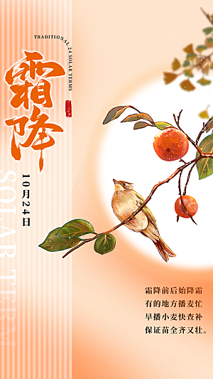 霜降节气简约大气海报
