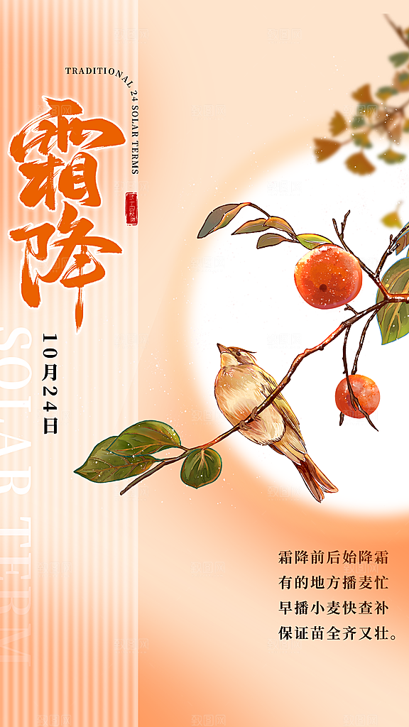 霜降节气简约大气海报