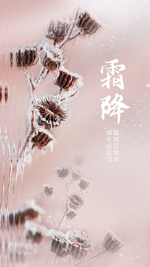 霜降节气简约大气海报